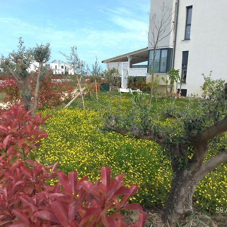 Welcome Beach Apartment Hamallaj Buitenkant foto